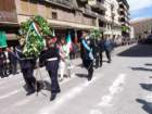 dsc06106_small.jpg